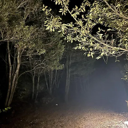 Con Encanto Y Vistas Panoramicas, Stevier Appartement Icod De Los Vinos